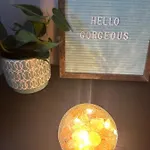 Apartment *cozy, Convenient Boston. Indulge, Deserve It* Boston
