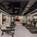 Back-bay Penthouse Downtown & Parking & Gym Apartment