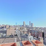 Luxurious Fenway 2br Penthouse With Roof Decks