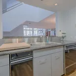 Luxurious Fenway 2br Penthouse With Roof Decks Apartment