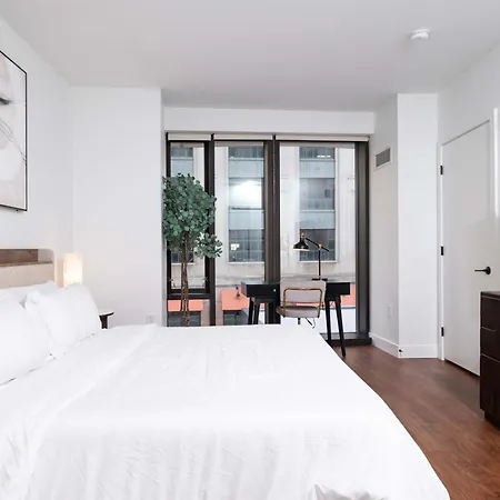 Back-bay Upscale Rooftop & Parking