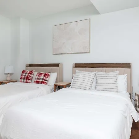 Back-bay Upscale Rooftop & Parking