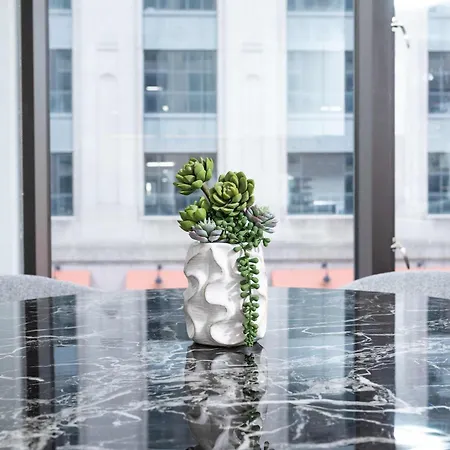 Back-bay Upscale Rooftop & Parking Apartment *