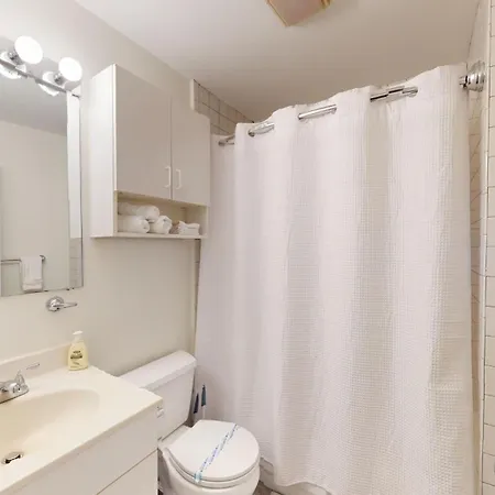 Expansive Back Bay Two-level Loft, 2b2b Apartment Boston