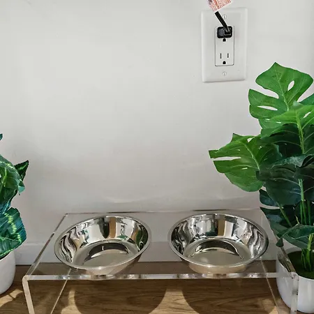 Apartment South End Escape Your Family's Dream Getaway