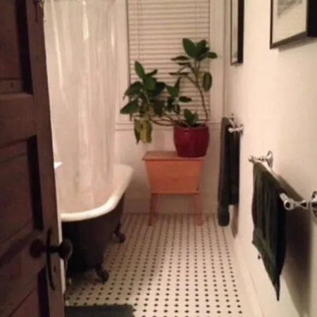 Apartment Private Must Dogs *