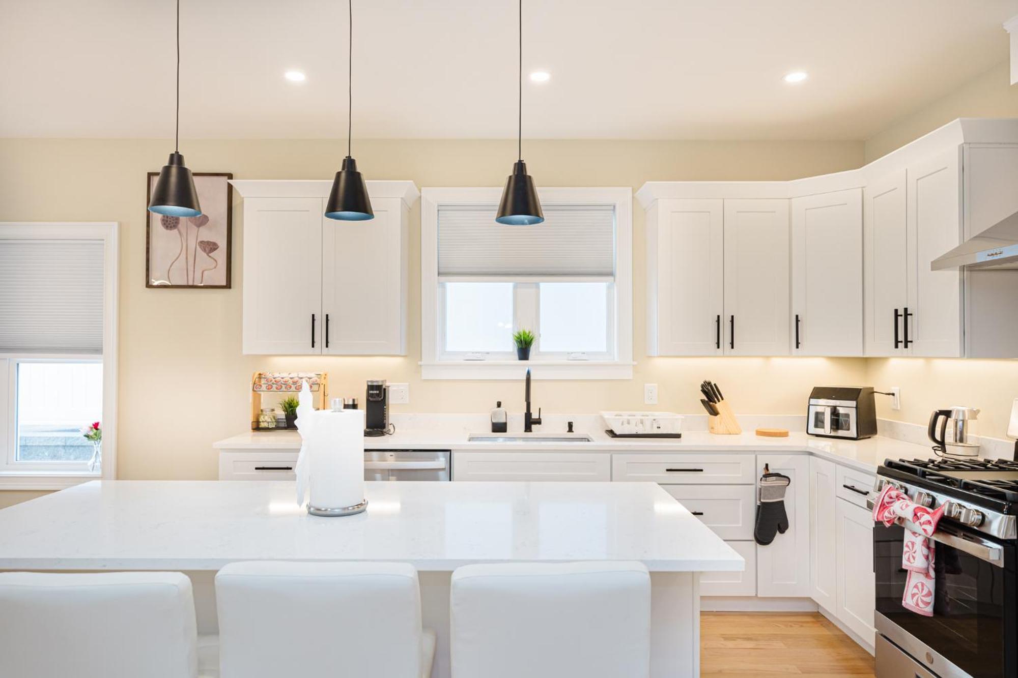 Apartment 60-1 4br - Cozy New Near Franklin Park Boston