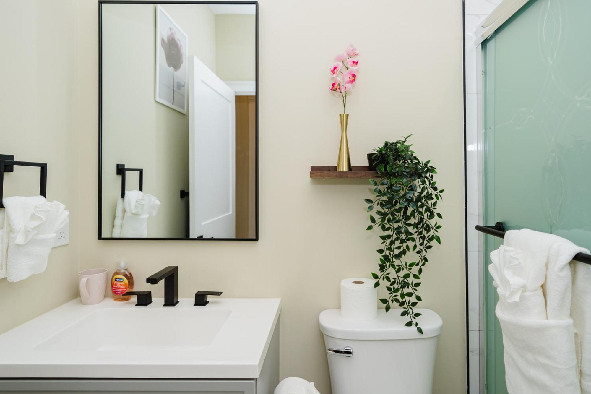 Apartment 60-1 4br - Cozy New Near Franklin Park Boston