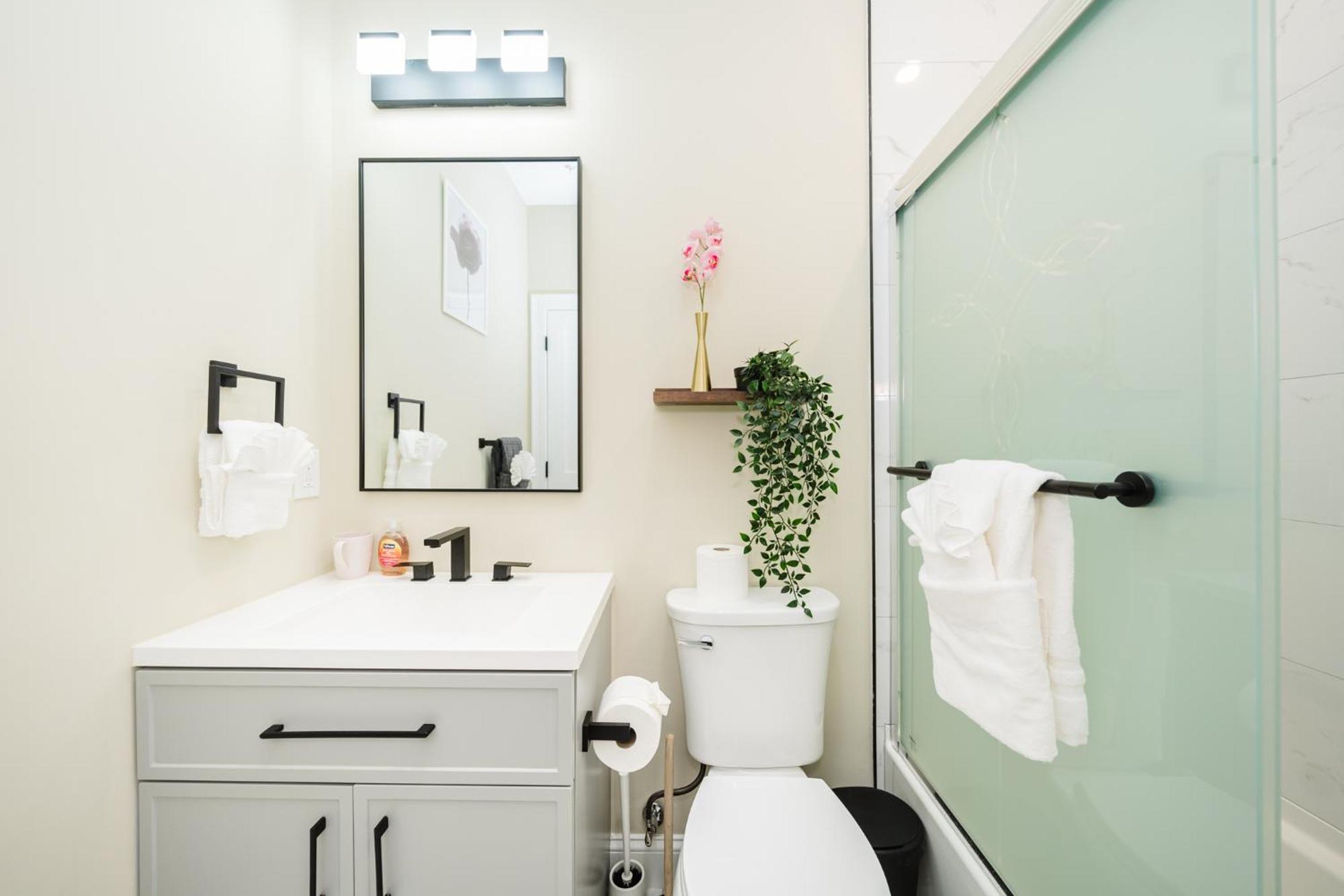 Apartment 60-1 4br - Cozy New Near Franklin Park Boston