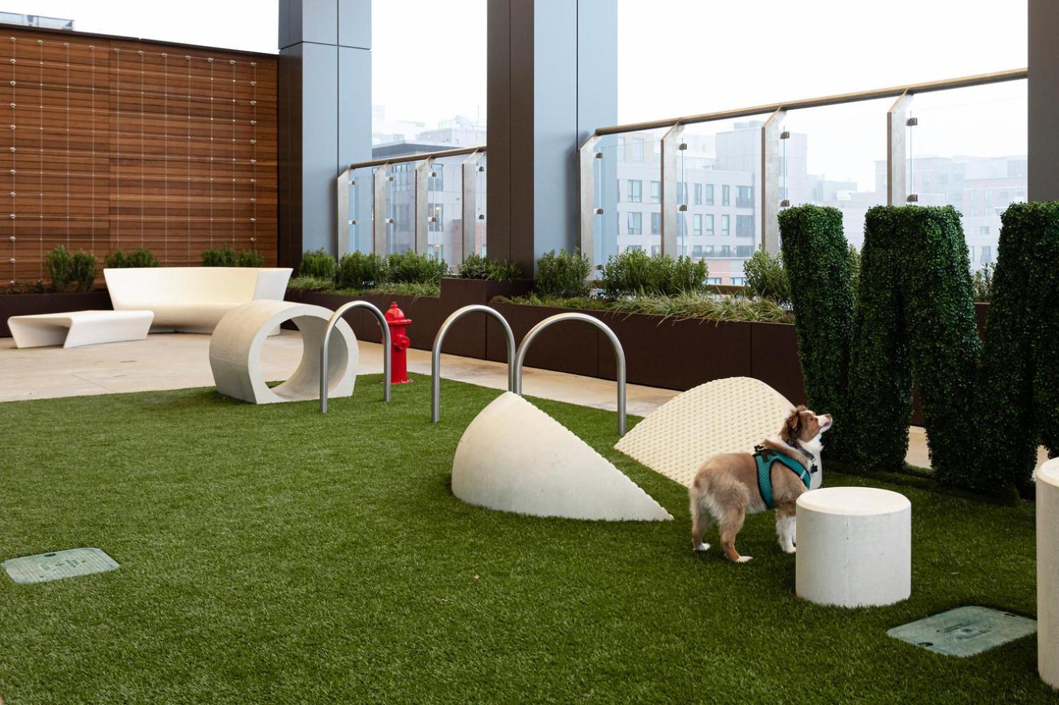 Blueground West End Rooftop Pool Nr Harbor Bos-1161 Boston