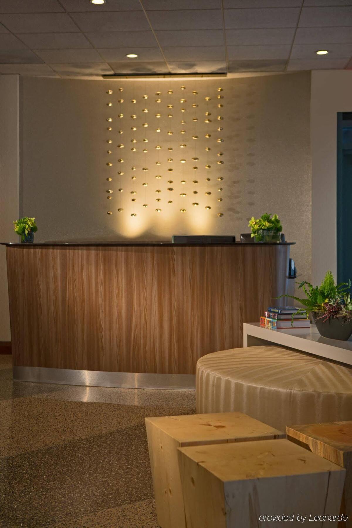 Pennyweight Boston, Curio Collection By Hilton