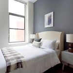 Airy Studio Downtown Boston Pet Friendly