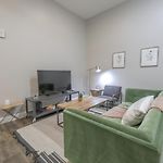 Boston Common Loft With Washer Dryer