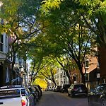 Charlestown Gem