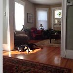 Private Room Must Love Dogs