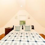 Comfortable 4Br Boston Getaway - Pet-Friendly - Near I-93 & Red Line 988