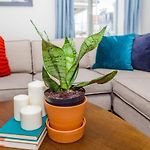 Bright & Spacious Boston Home Near T