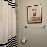 Modern 3 Bedroom With Parking In Boston