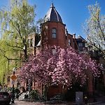 Petit Studio In Back Bay