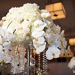 Intercontinental By Ihg
