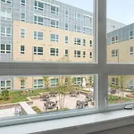 Brighton Studio W Wd Gym Nr T Shops Dining Bos-432