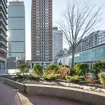 Back Bay Studio W Wd Nr Newbury St Bos-726