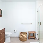 Back-bay Upscale Penthouse W Roof-top Boston