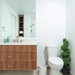 Back-bay 2br Penthouse W Roof And Gym Apartment