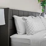 Furnished In Downtown Apartment *