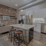 Luxury Furnished Loft Near Park Street Station