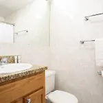 Modern 1brs Steps From Common And South End Apartment