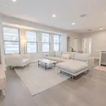 Luxury Loft Washer And Dryer Pet Friendly Apartment Boston