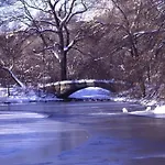 1Br Apartment In Bostons Fenway Neighborhood