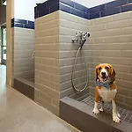 E Cambridge 2Br W Gym Wd Nr Lechmere T Bos-635