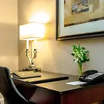 Copley Square Hotel, A Found Boston