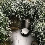 Clarendon Square Bed & Breakfast