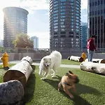 Luxury 2Br Apt In Boston Pool Gym