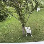 Large Bedroom With Private Bathroom Step To Train &Buses In Boston