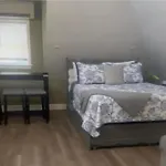 Apartment Large Open Concept In Zoo Franklin Park Near Boston