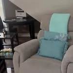 Large Open Concept In Zoo Franklin Park Near Apartment Boston