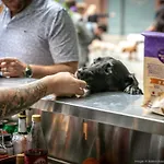 The Liberty, A Luxury Collection Hotel, Boston