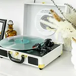 South End Apartment Fireplace Gym & Pool Access