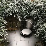 Bed & Breakfast Clarendon Square Boston