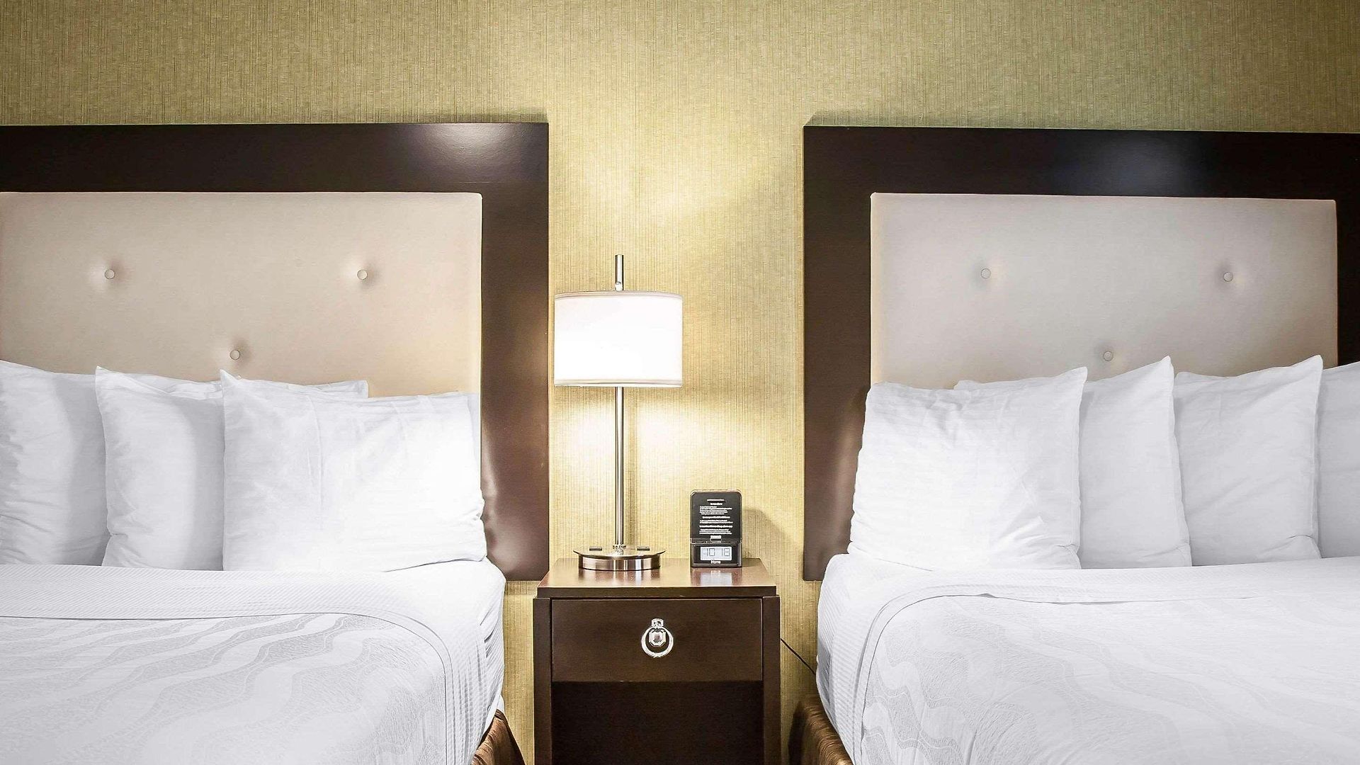 Hotel Envision Boston-longwood, Ascend Collection Boston