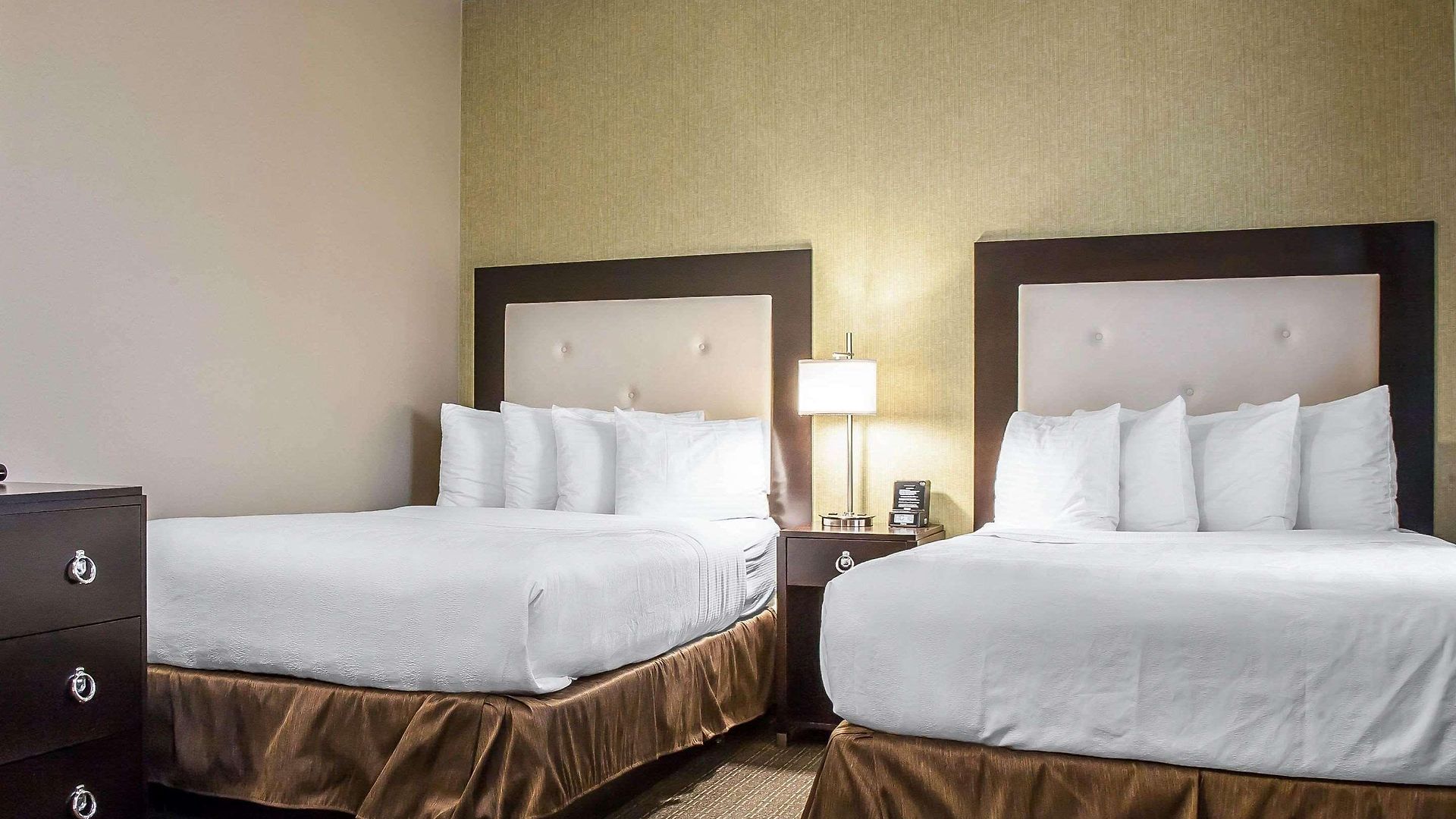 Hotel Envision Boston-longwood, Ascend Collection
