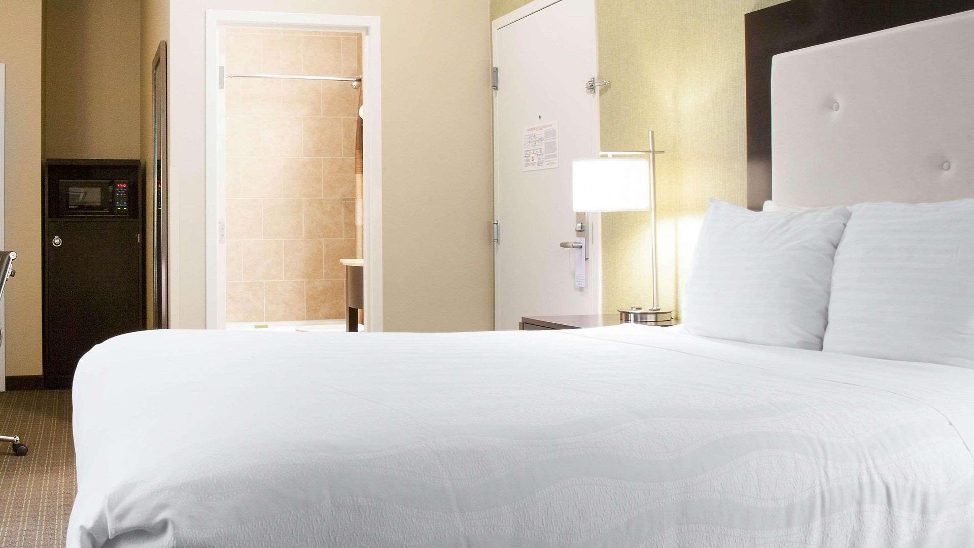 Envision Boston-longwood, Ascend Collection Hotel 3*