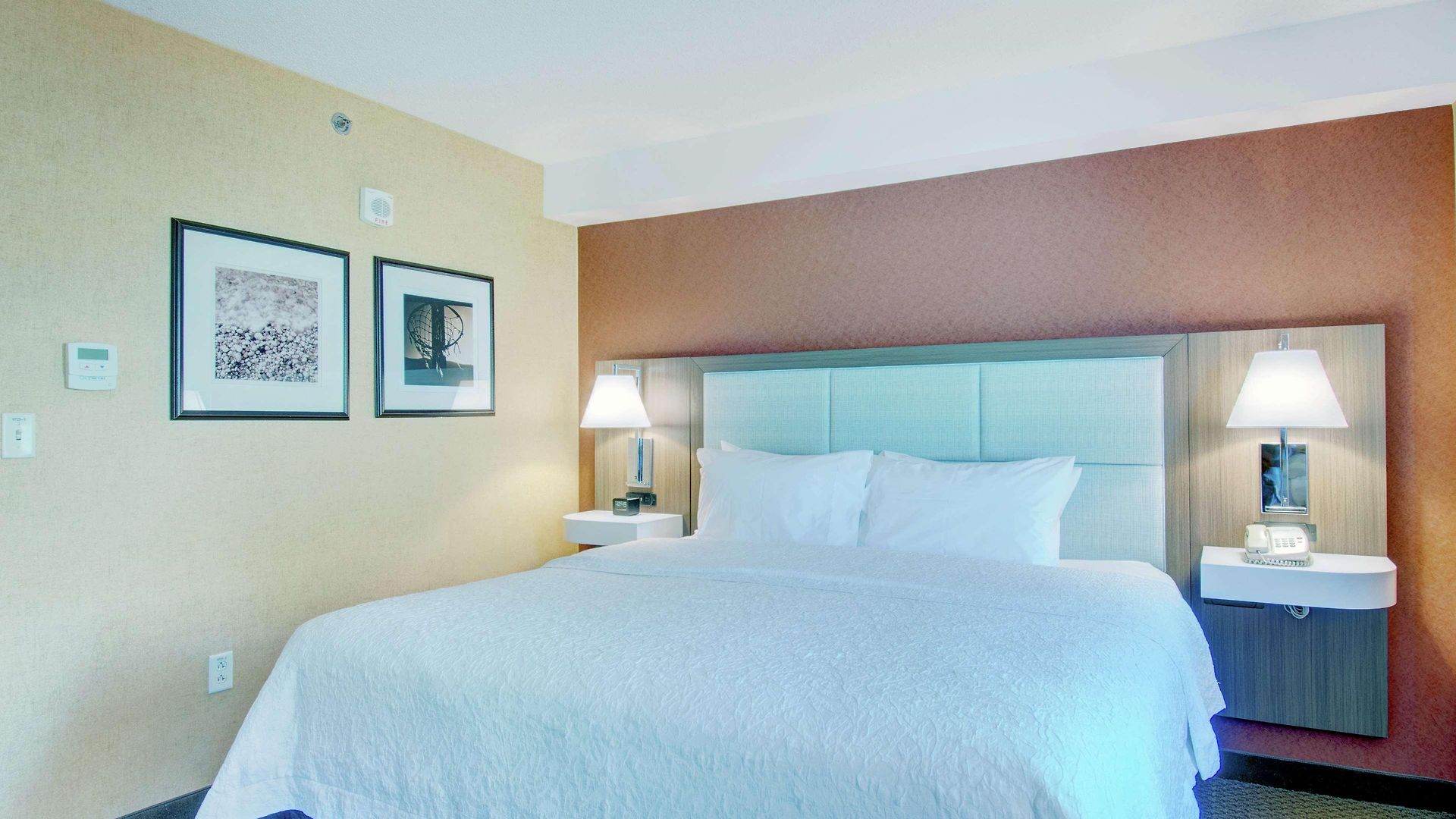 Hampton & Crosstown Center 3* Boston