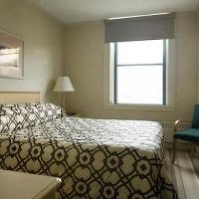 Staypineapple, A Delightful Hotel, South End Hotel