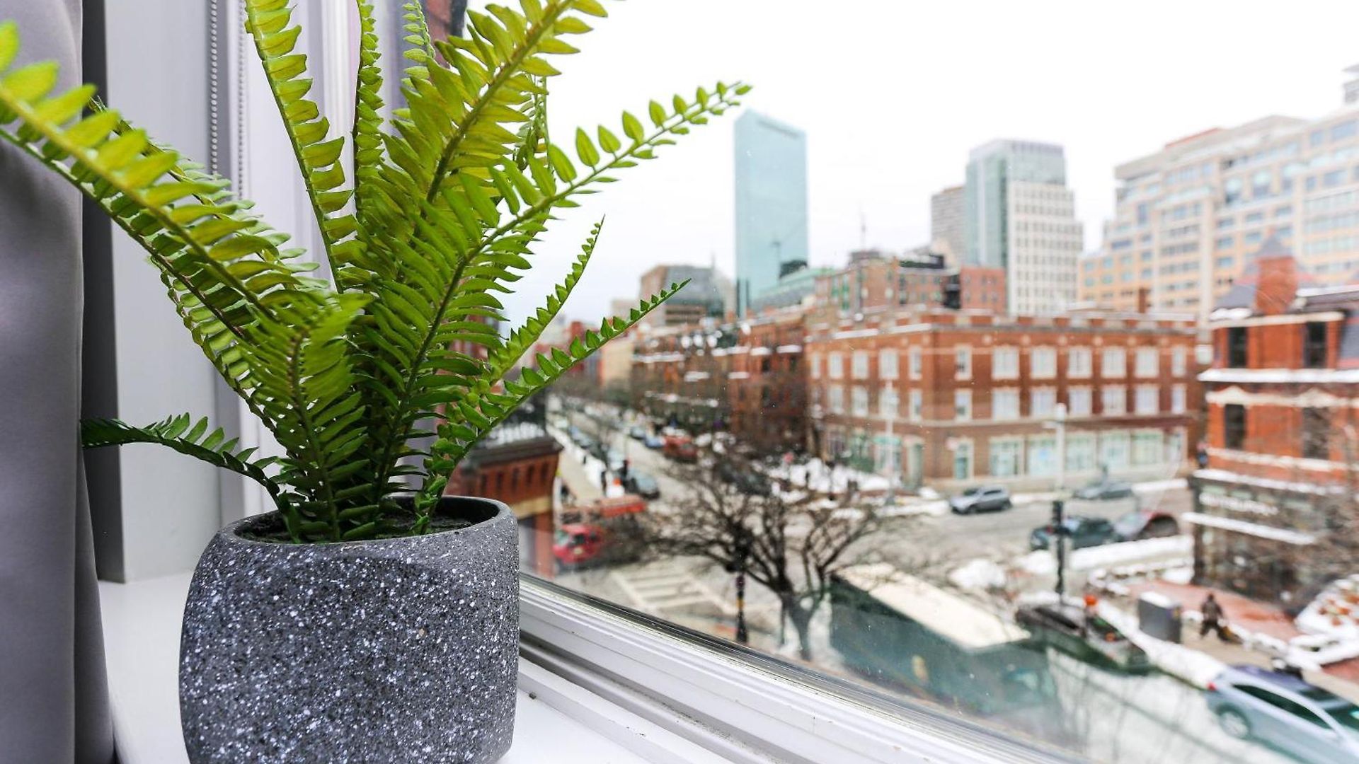 Charming On Boston's Iconic Newbury St. #8