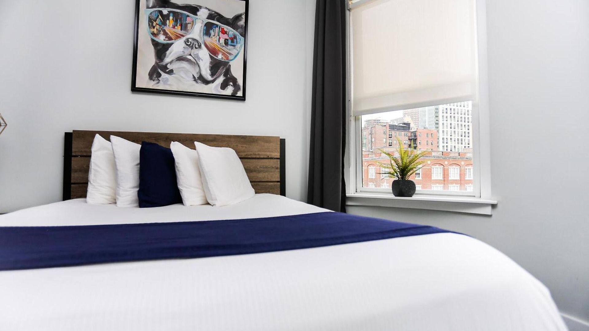 Charming On Boston's Iconic Newbury St. #8 Apartment *